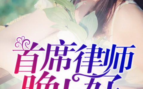 微信小说看到的《首席律师晚上好》求最新章节