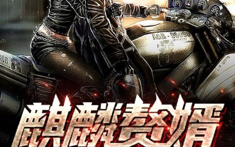 麒麟赘婿(叶麟林青儿)小说在哪里看?