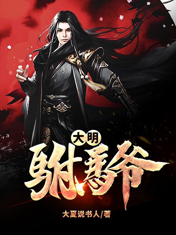 大明驸马爷
