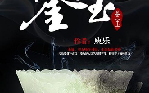 微信小说看到的《鉴宝》求最新章节