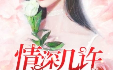 主角叫小槿槿儿《情深几许，共白首》书籍章节列表
