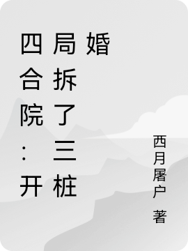 四合院:开局拆了三桩婚