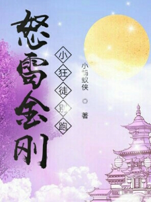 怒雷金刚小狂徒别跑