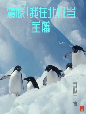 震惊!我在北极当主播