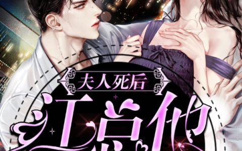 求小说《夫人死后，江总他疯了》全文免费阅读资源！