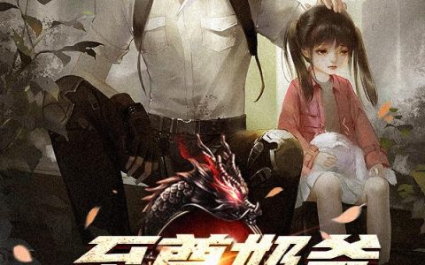求小说《至尊奶爸》全文免费阅读资源！