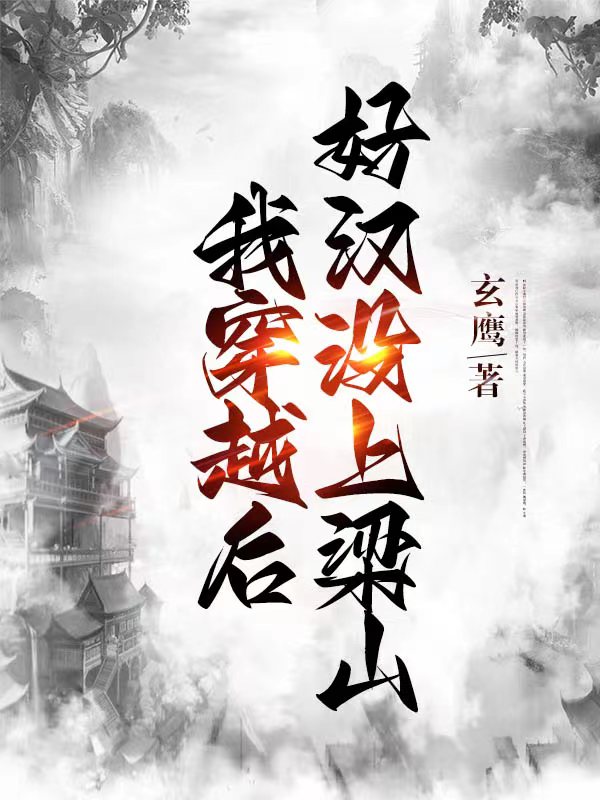 我穿越后,好汉没上梁山