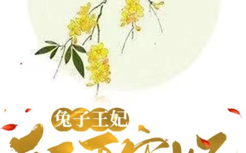 免费看全篇小说林兮夏慕文轩《兔子王妃：轩王宠妃》