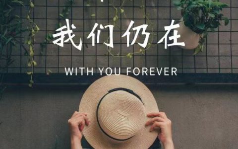 申澈林北安经年流转我们仍在全文免费阅读