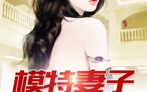 娇妻在外太迷人张杨李小岚免费阅读全文【已完结】
