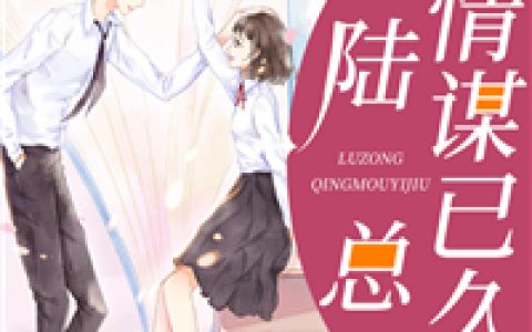 陆总情谋已久（陆湛北宋晨夕）最新章节在线免费阅读