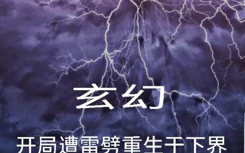 北辰杰有话好说《玄幻：开局遭雷劈重生于下界》_(北辰杰有话好说)整本阅读