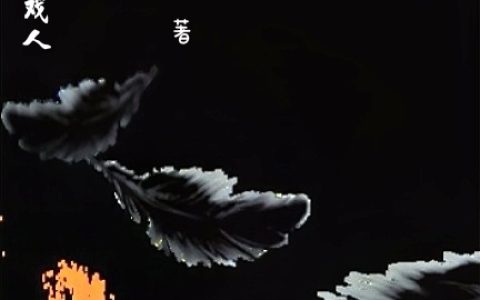 我的无限游戏人生唐子旭菲丽娅·修全文免费阅读