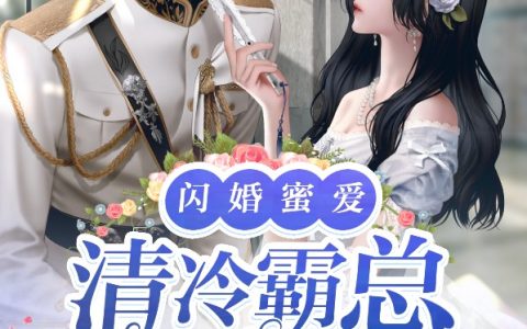 小说苏落贺辰全文章节免费阅读