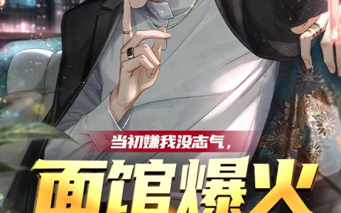 当初嫌我没志气，面馆爆火想复婚小说全文完结