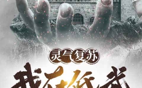 《灵气复苏：我在低武开仙路》陆玄海贼王路飞_陆玄海贼王路飞全章节阅读