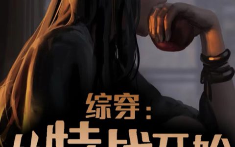 小说整本免费综穿：从特战开始