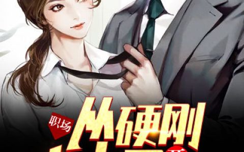 张兴赵雪全文章节免费阅读-《职场：从硬刚女上司开始》精彩小说在线阅读