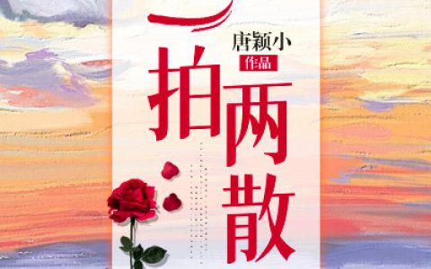 陈念徐晏清《一拍两散》完结版阅读_(陈念徐晏清)全本免费在线阅读