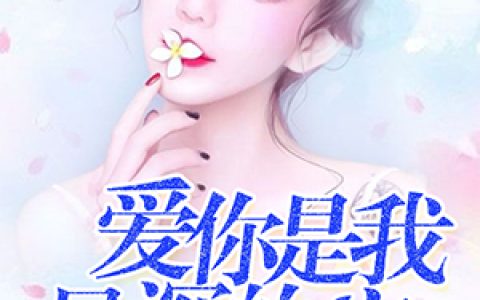 钱晨洁陆琛《爱你是我最深的痛》完整版在线阅读_爱你是我最深的痛全文阅读