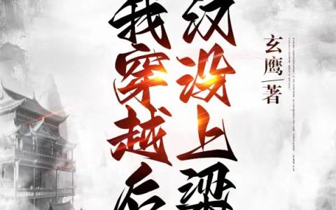 (张珀寒林冲)我穿越后，好汉没上梁山热门小说_我穿越后，好汉没上梁山最新章节免费阅读