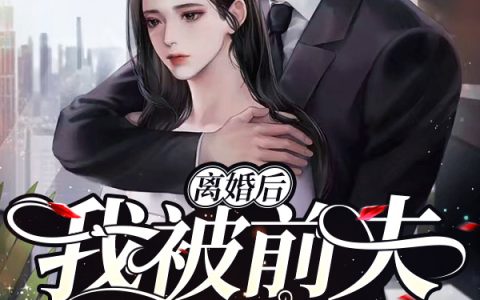 《离婚后，我被前夫缠上了》萧珂林婉完结版免费阅读_《离婚后，我被前夫缠上了》全集在线阅读