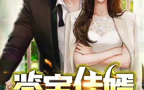 《鉴宝佳婿》张小天夏晴晴全文阅读_(鉴宝佳婿)全文免费在线阅读