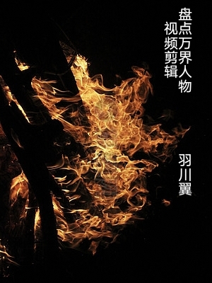 视频剪辑：盘点万界人物