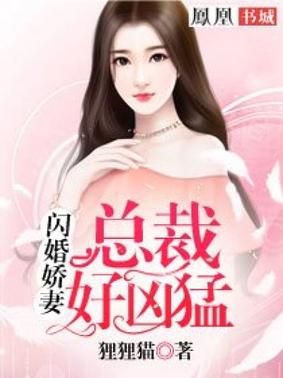 闪婚娇妻:总裁好凶猛