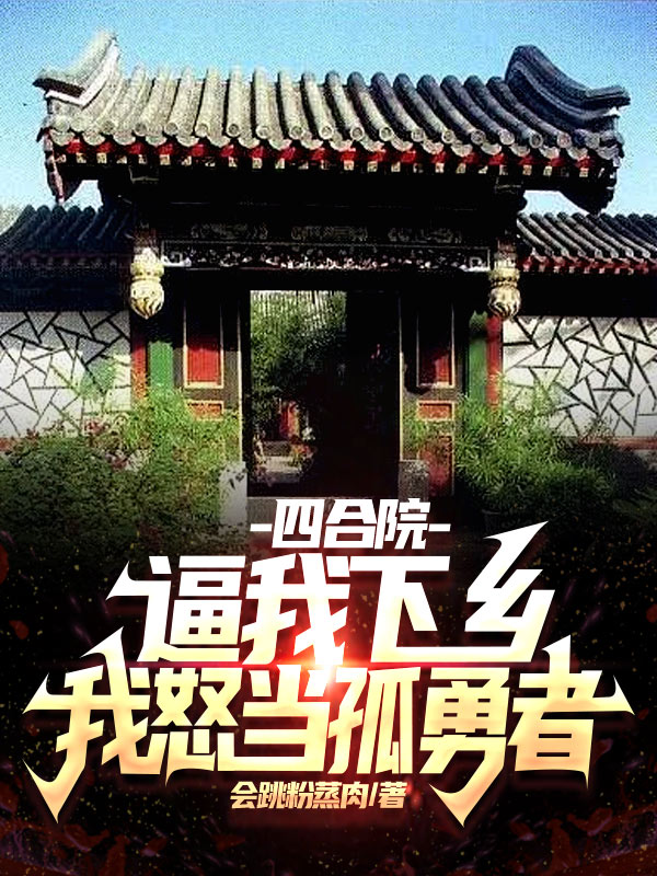 四合院:逼我下乡,我怒当孤勇者