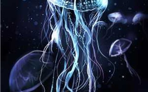 赵老师老师《学会逆袭 许晓免费》_赵老师老师最新章节免费在线阅读