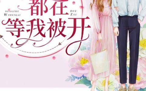 叶锦辞慕北宸(全公司都在等我被开)全集免费在线阅读_全公司都在等我被开全章节阅读
