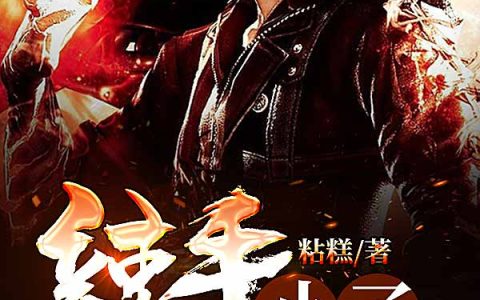 李尔李查(辣手小子)全章节免费在线阅读_(李尔李查)最新热门小说
