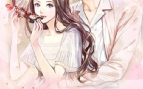 秦禾顾其琛(失忆后先踹掉前夫)完结版免费在线阅读_《失忆后先踹掉前夫》精彩小说