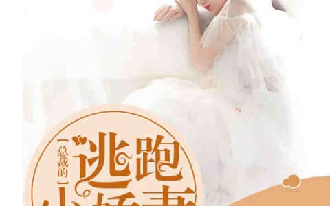封氏赫连夜《总裁的逃跑小娇妻》完整版在线阅读_总裁的逃跑小娇妻全文阅读