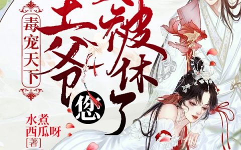 叶司韶裴临渊(毒宠天下王爷您又被休了)_叶司韶裴临渊全本免费在线阅读
