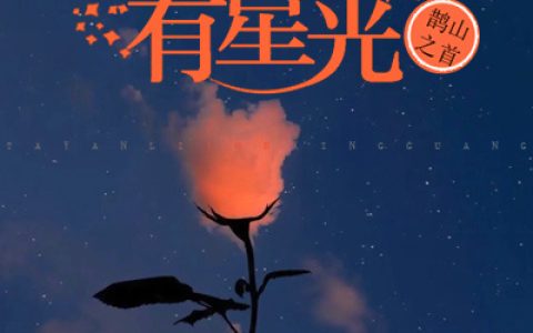 沈窈郑子慕(他眼里有星光)全集在线阅读_(沈窈郑子慕)全章节免费阅读