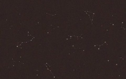 《人生修复术》唐优美丁一树_《人生修复术》全集免费在线阅读