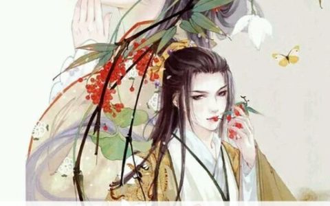 叶司韶裴临渊(王爷又被王妃休了)_(王爷又被王妃休了)全章节免费在线阅读
