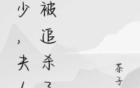 江怜顾祈安(顾少，夫人又被追杀了)完结版免费在线阅读_顾少，夫人又被追杀了完结版免费阅读