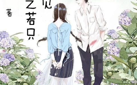 《重生之若只如初见》林诗悠叶杦笙完结版免费阅读_《重生之若只如初见》全集在线阅读