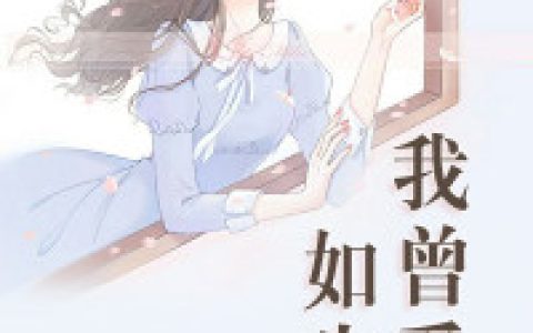 《我曾爱你如生命》陆知秋简迦南完整版阅读_《我曾爱你如生命》完整版阅读