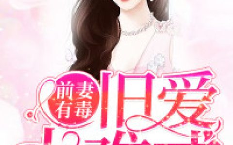 林婉婧厉墨诚《前妻有毒，旧爱太难戒》完整版在线阅读_前妻有毒，旧爱太难戒全文阅读