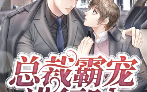 《总裁霸宠进行时》慕容雪陆祁寒全文免费阅读_慕容雪陆祁寒全集在线阅读