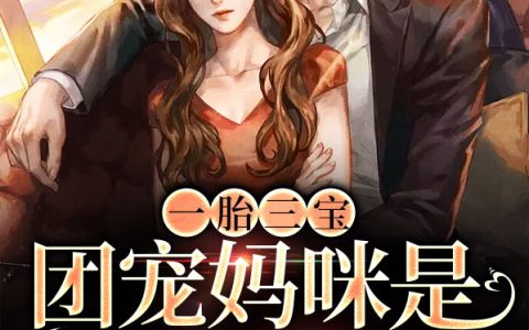 (一胎三宝：团宠妈咪是隐藏大佬)萧念司承翌全文免费在线阅读_萧念司承翌全文免费在线阅读
