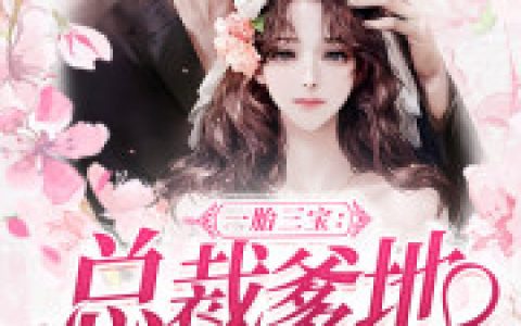 《三宝妈咪宠上天》李蓁蓁褚司宸_(李蓁蓁褚司宸)全章节免费阅读