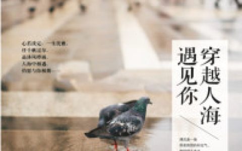 韶华李鸿章(穿越人海遇见你)_《穿越人海遇见你》完整版阅读
