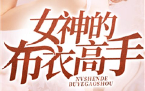 岳枫南建华《女神的布衣高手》_岳枫南建华热门小说