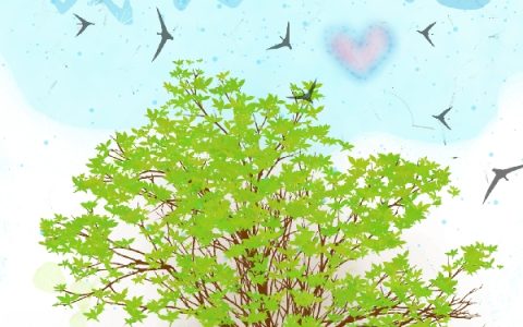 夏长宁姬灵曦《小公主成长日记》_夏长宁姬灵曦完整版在线阅读