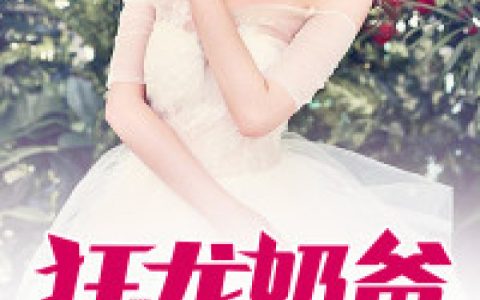 沈贺叶莹《狂龙奶爸》_沈贺叶莹全集免费在线阅读